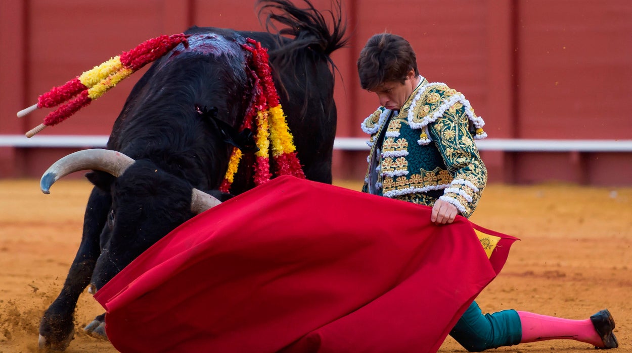 Rubén Amón indulta a El Juli: "La armonía conmovió los tendidos. Alborotó una tarde de euforia y de histeria" Rubén Amón indulta a El Juli: "La armonía conmovió los tendidos. Alborotó una tarde de euforia y de histeria"