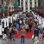 Calle Larios de Málaga