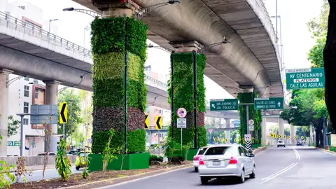 Proyecto Vía Verde Vertical, dedicado a recubrir con plantas las 1000 columnas de la principal vía de comunicación de la ciudad de México Proyecto Vía Verde Vertical, dedicado a recubrir con plantas las 1000 columnas de la principal vía de comunicación de la ciudad de México