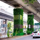 Proyecto Vía Verde Vertical, dedicado a recubrir con plantas las 1000 columnas de la principal vía de comunicación de la ciudad de México