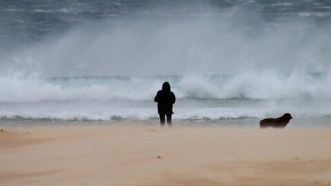 Una mujer pasea junto a su perro en la playa de los Lances en Tarifa (C&aacute;diz)