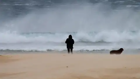 Una mujer pasea junto a su perro en la playa de los Lances en Tarifa (Cádiz) Una mujer pasea junto a su perro en la playa de los Lances en Tarifa (Cádiz)