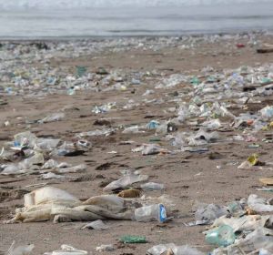 El plastico que flota en el mar estimula el crecimiento de bacterias El plastico que flota en el mar estimula el crecimiento de bacterias