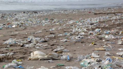El plastico que flota en el mar estimula el crecimiento de bacterias