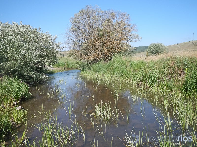 Aquí en la Onda Cantabria. Medio Ambiente: Proyecto Ríos 18/04/2018 Aquí en la Onda Cantabria. Medio Ambiente: Proyecto Ríos 18/04/2018