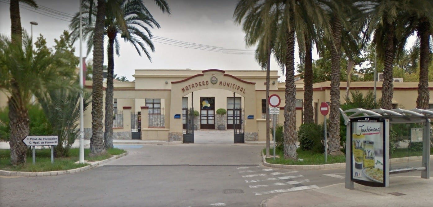 Elche recibe 12.000 euros del IVAJ para cuatro programas del área municipal de Juventud Elche recibe 12.000 euros del IVAJ para cuatro programas del área municipal de Juventud