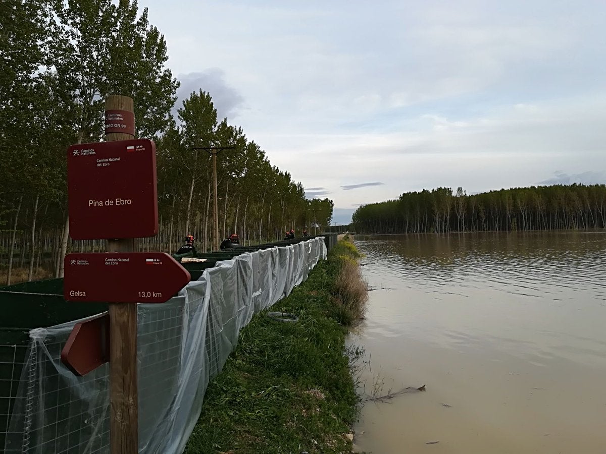 La crecida del Ebro podría haber inundado unas 20.000 hectáreas La crecida del Ebro podría haber inundado unas 20.000 hectáreas