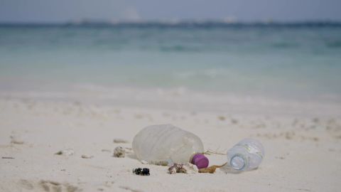 Pl&aacute;sticos en la playa 