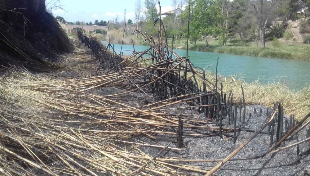 Un incendio quema 200 metros cuadrados de vegetación en el Paisaje Protegido de la Desembocadura del río Mijares.