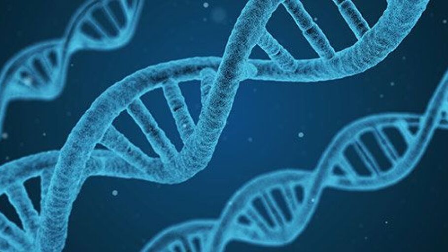 La edici&oacute;n gen&eacute;tica, &iquest;el futuro para curar enfermedades?