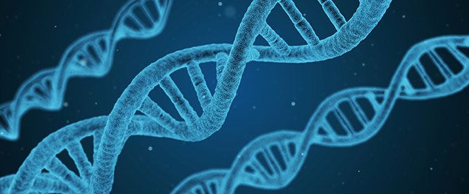 La UCLM y la asociación ADAO continuarán su colaboración en el campo de las enfermedades genéticas La UCLM y la asociación ADAO continuarán su colaboración en el campo de las enfermedades genéticas