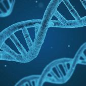La edición genética, ¿el futuro para curar enfermedades?