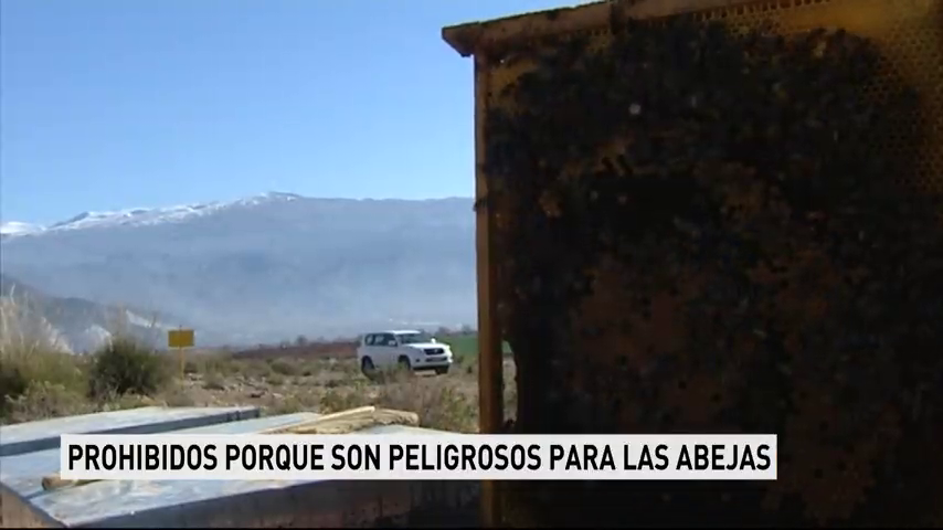 Insecticidas prohibidos en Europa son vendidos al tercer mundo y España participa en esta ignominia. Insecticidas prohibidos en Europa son vendidos al tercer mundo y España participa en esta ignominia.