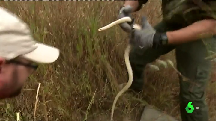 Gran Canaria En La Onda Miércoles 02/05/2018 Gran Canaria En La Onda Miércoles 02/05/2018