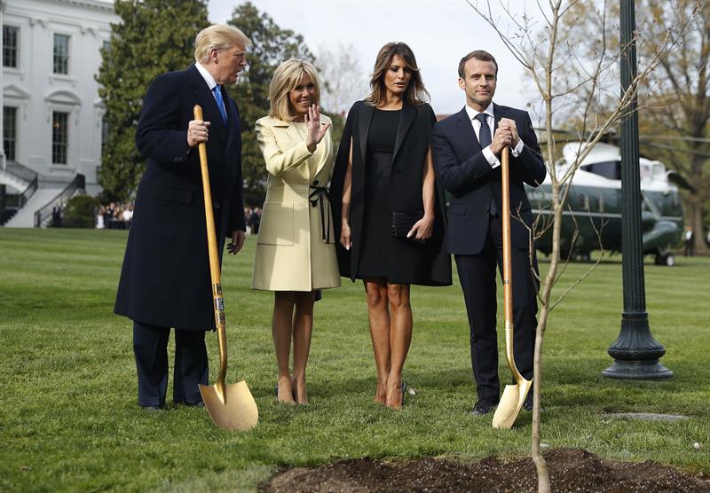 Desaparece el árbol que plantaron Trump y Macron en el jardín de la Casa Blanca como símbolo de unión Desaparece el árbol que plantaron Trump y Macron en el jardín de la Casa Blanca como símbolo de unión