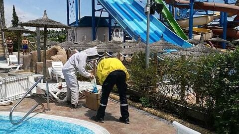 Bomberos en el Campig de La Marina de Elche