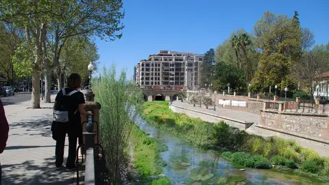 Río Genil renaturalizado Los Ecologistas piden renaturalizar el Genil