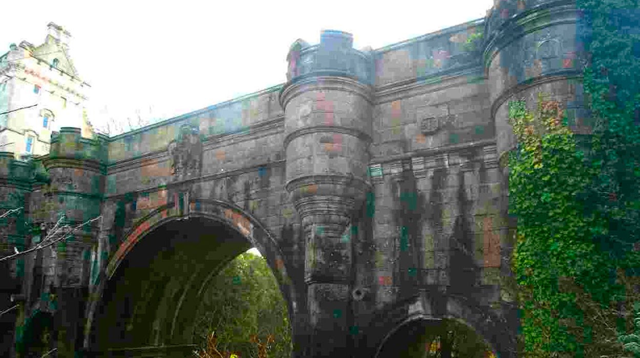 La misteriosa historia del puente al que los perros van a suicidarse La misteriosa historia del puente al que los perros van a suicidarse