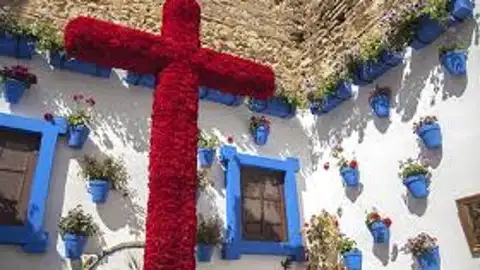 CRUZ DE MAYO CRUZ DE MAYO