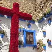 CRUZ DE MAYO CRUZ DE MAYO