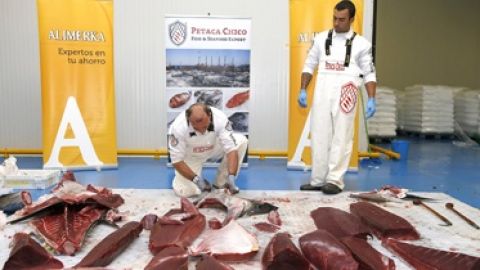 ATUN ALMADRABA