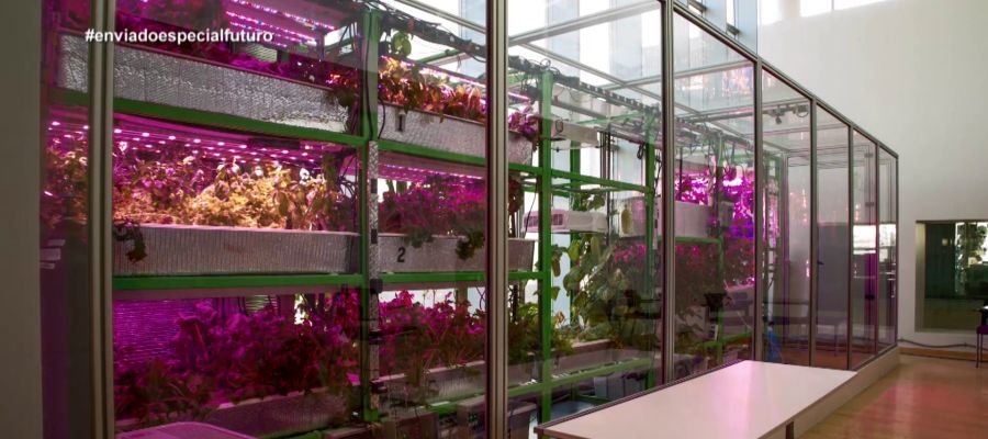 La agricultura del futuro, en Enviado especial La agricultura del futuro, en Enviado especial