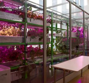 La agricultura del futuro, en Enviado especial La agricultura del futuro, en Enviado especial