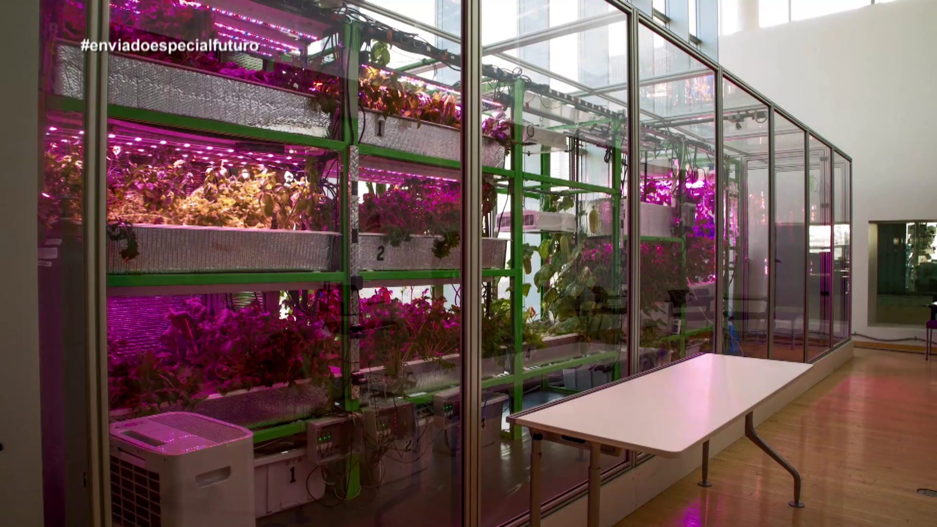 Málaga, sede del encuentro internacional más relevante del sector agroalimentario Málaga, sede del encuentro internacional más relevante del sector agroalimentario