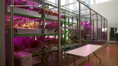 La agricultura del futuro, en Enviado especial La agricultura del futuro, en Enviado especial