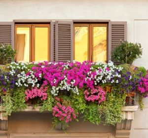 Balcones Balcones