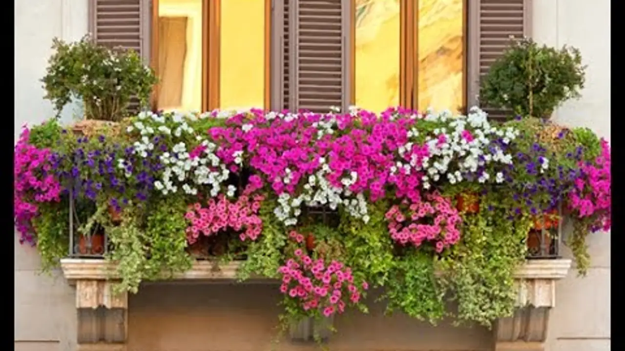 Balcones Balcones