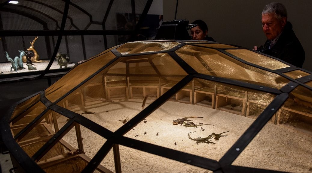 La subdirectora de comunicación del Museo Guggenheim Bilbao: "hemos puesto todas las medidas para asegurar el bienestar de los animales en la exposición" La subdirectora de comunicación del Museo Guggenheim Bilbao: "hemos puesto todas las medidas para asegurar el bienestar de los animales en la exposición"