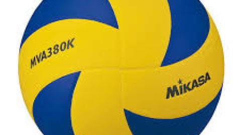 Bal&oacute;n voleibol