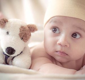 Un bebé con su peluche Un bebé con su peluche