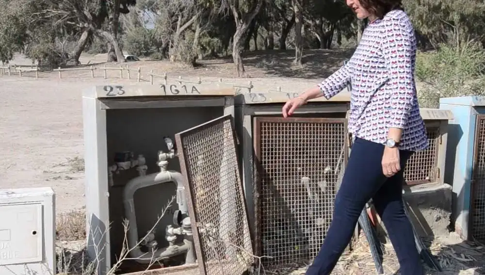 La edil de Cs Elche, Eva María Crisol, junto a cajas de registro en un camino de la pinada de La Marina de Elche La edil de Cs Elche, Eva María Crisol, junto a cajas de registro en un camino de la pinada de La Marina de Elche