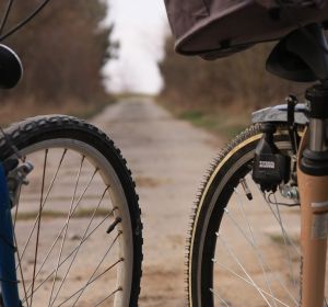 Bicicletas Bicicletas