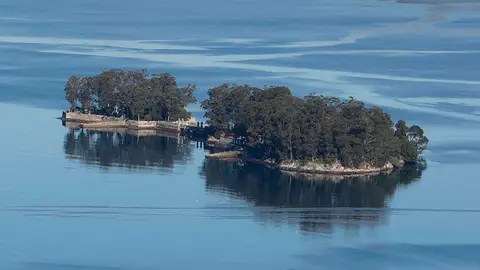 Isla de San Simón Rías Baixas Fest
