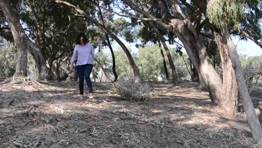 Cs Elche critica que no se atiendan las peticiones de la pedanía de La Marina Cs Elche critica que no se atiendan las peticiones de la pedanía de La Marina