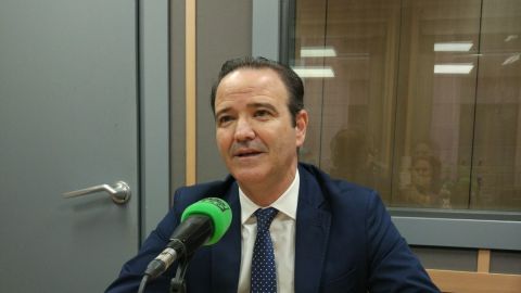 presidente de la Agrupaci&oacute;n de Cofrad&iacute;as