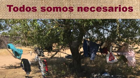 C&aacute;ritas pone en marcha la campa&ntilde;a de temporeros en Ciudad Real