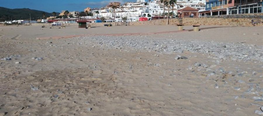 Playa de Getares, en Algeciras Playa de Getares, en Algeciras