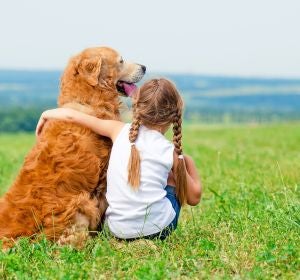 los perros son el principal reservorio del parásito causante de la leishmaniosis los perros son el principal reservorio del parásito causante de la leishmaniosis