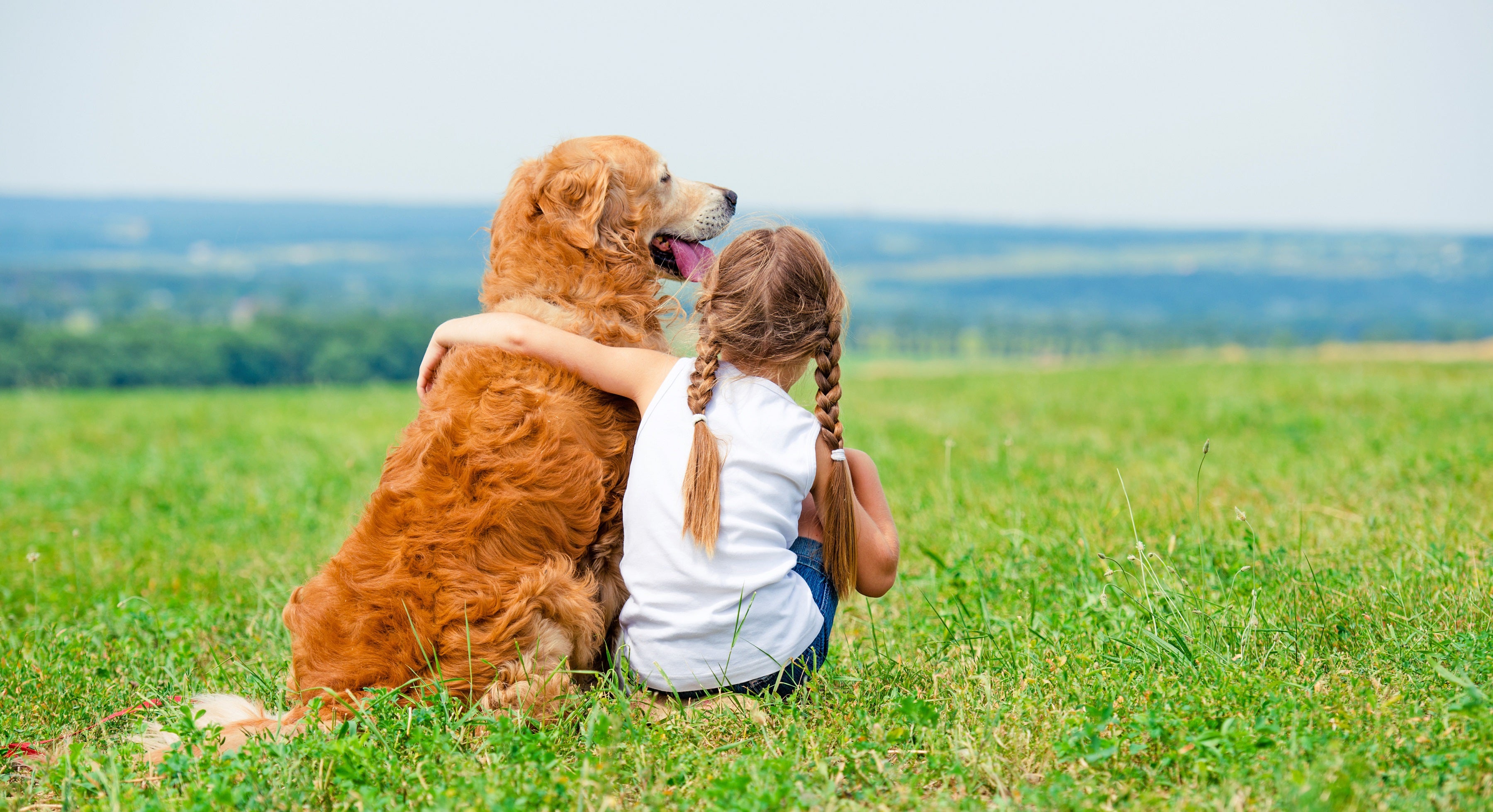 Punta Norte: Perros o el contacto con el afecto verdadero Punta Norte: Perros o el contacto con el afecto verdadero