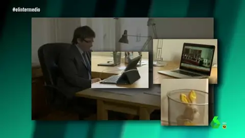 Un conejo amarillo en la basura: el mensaje oculto de Carles Puigdemont Un conejo amarillo en la basura: el mensaje oculto de Carles Puigdemont