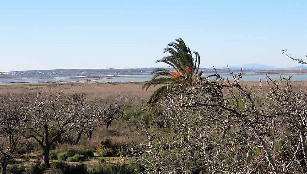 Terrenos del perímetro del Parque Natural de las Salinas de Santa Pola protegidos por el PATIVEL