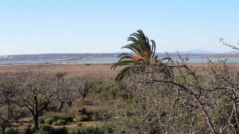 Terrenos del per&iacute;metro del Parque Natural de las Salinas de Santa Pola protegidos por el PATIVEL