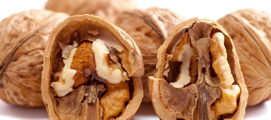 La nuez es el fruto seco que más alergias causa a los niños La nuez es el fruto seco que más alergias causa a los niños