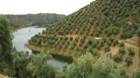 Noticias mediodía Córdoba Noticias mediodía Córdoba
