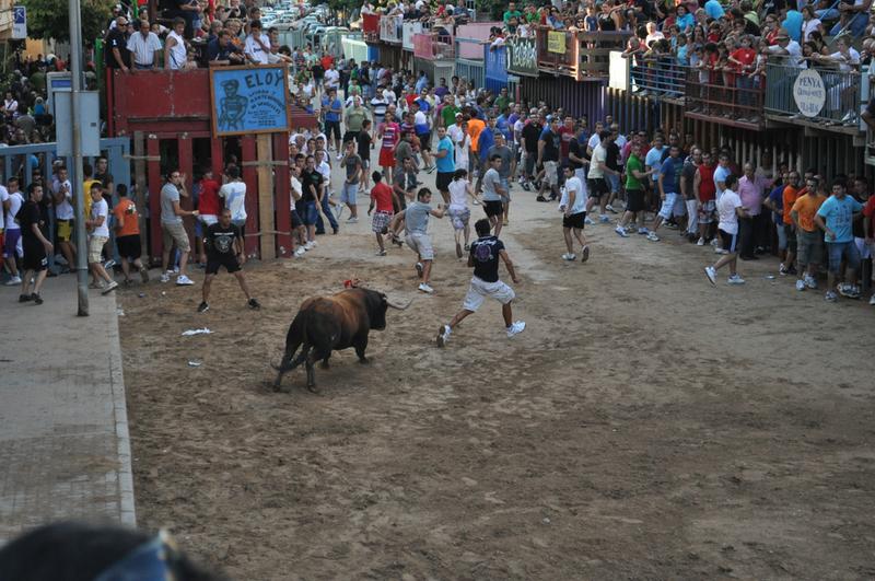 La Federació de Bous al Carrer quiere volver a la normalidad en Octubre La Federació de Bous al Carrer quiere volver a la normalidad en Octubre
