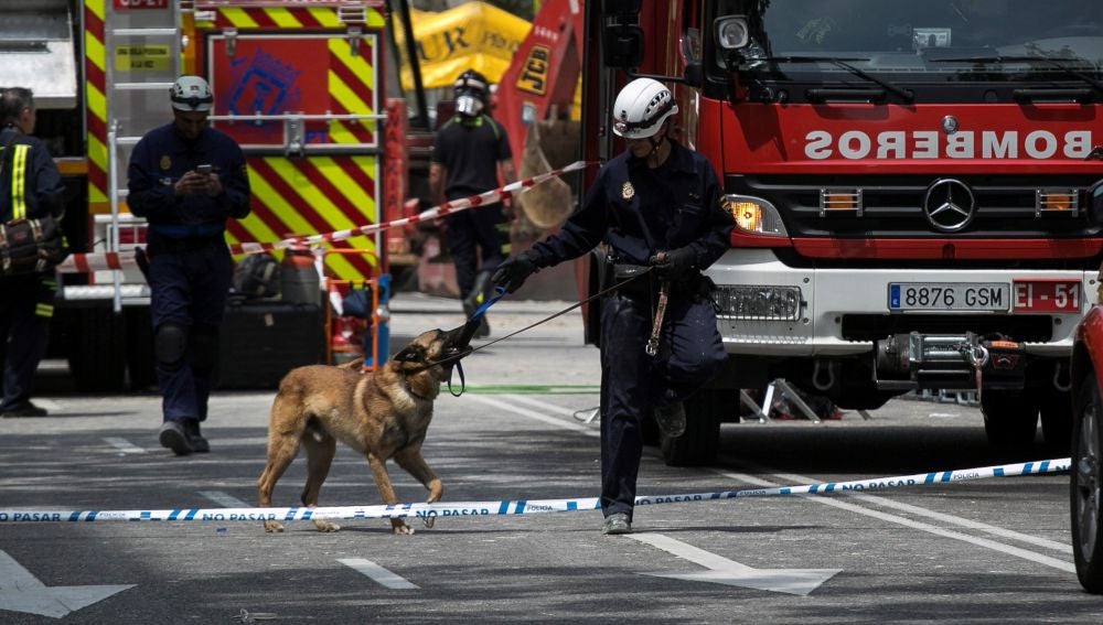 Los Bomberos del Ayuntamiento de Madrid trabajan en dos zonas marcadas por perros